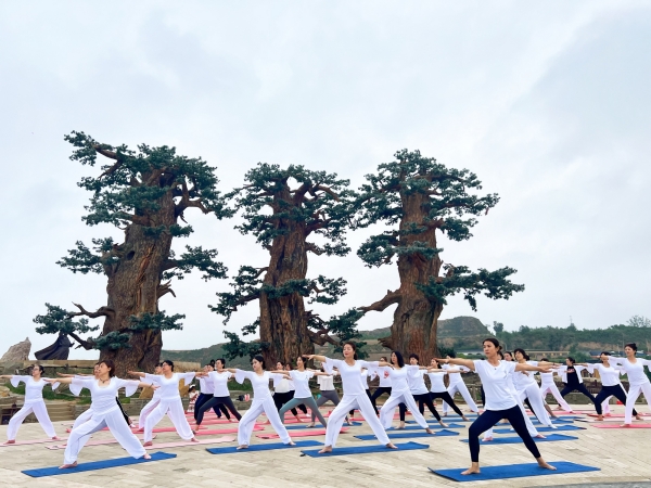 211689930571624967.jpg 戶外瑜伽01.jpg