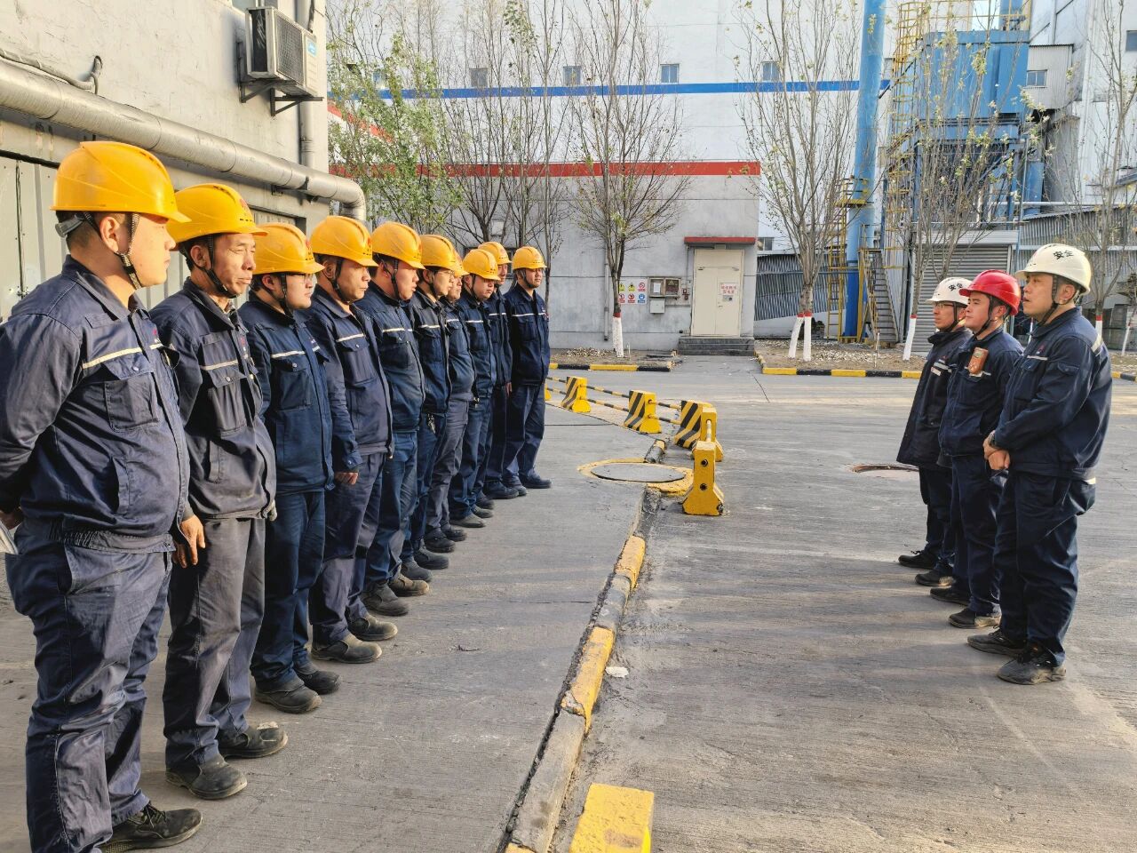 201763601442501116.jpg 95cc348c-6948-4244-b20a-6ff6cb4c4682.jpg